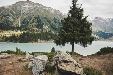 Almaty'deki Bao Dağı Gölü. Güzel doğa, güneşli Kazakistan yaz yeşil manzara