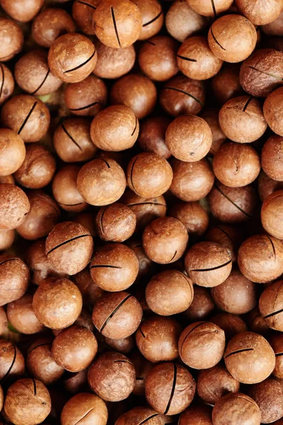 Macadamia Fondo Nueces Marrones — Foto de Stock