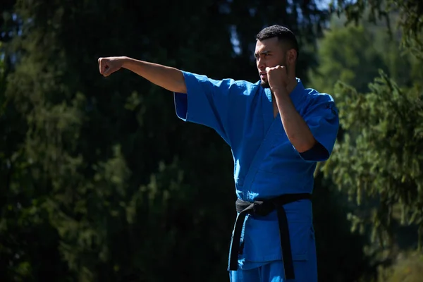 Asiatisk Kasakhisk Karate Fighter Kæmper Blå Kimono Uniform Sommersmukt Naturlandskab - Stock-foto