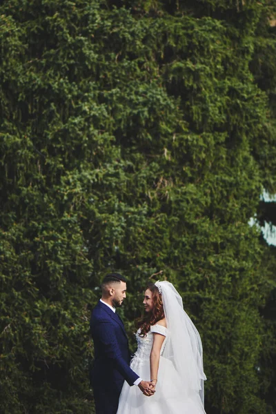 Красивое Свадебное Фото Горном Озере Счастливая Влюбленная Азиатская Пара Невеста — стоковое фото
