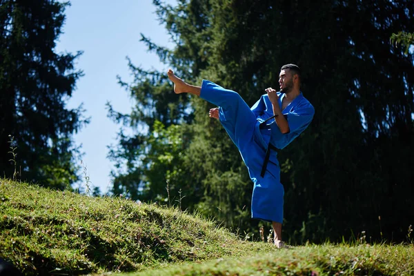 Asiático Kazajo Karate Fighter Combate Azul Kimono Uniforme Verano Hermoso — Foto de Stock