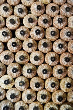 Arka plan için organik mantar çiftliği