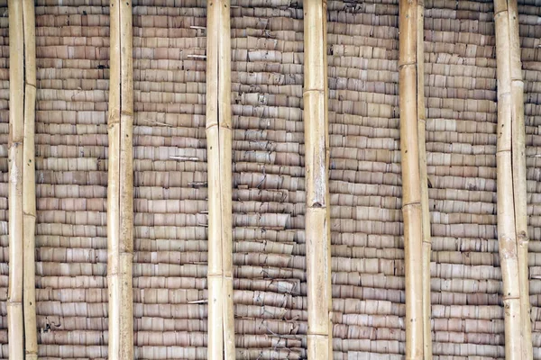 Primer Plano Textura Pared Bambú Para Fondo — Foto de Stock