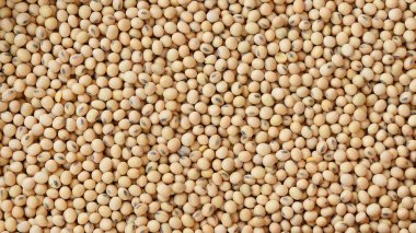 Arkaplan için soya fasulyelerini kapat