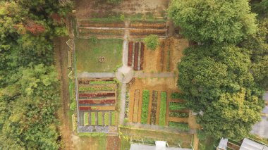 Sebze tarlalarının ve tarımsal parselin Birds Eye View 'ı. Hava görünümleri.