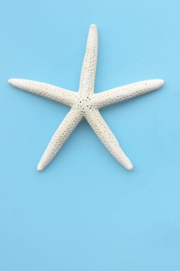 Mavi arkaplandaki deniz yıldızını kapat