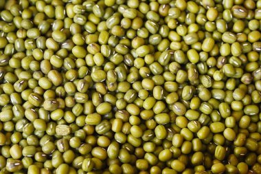 arkaplan için yeşil fasulyeleri kapat