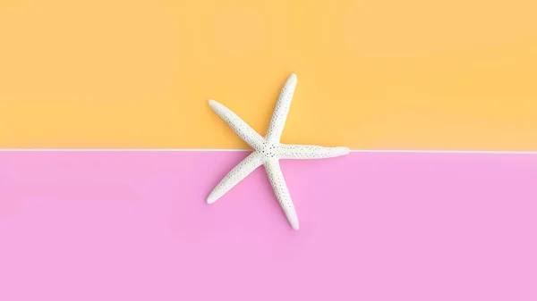 Close Starfish Background — Stock Photo, Image
