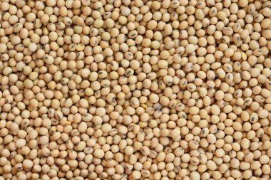 Arkaplan için soya fasulyelerini kapat