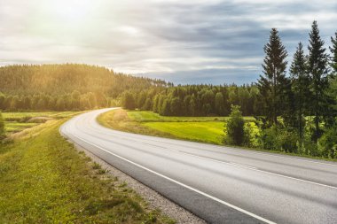 Finlandiya 'nın manzaralı manzarasında dolambaçlı yol