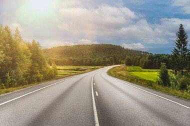 Finlandiya 'nın manzaralı manzarasında dolambaçlı yol