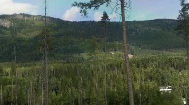 Norveç'in güzel ormanları. Bu ormanlar Norveç arasında tren yolu ile ele geçirildi.