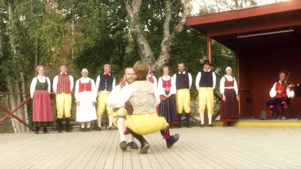 Tancerze Wykonują Niektóre Piękne Tradycyjne Szwedzkie Tańce Ludowe Lub Polska — Wideo stockowe