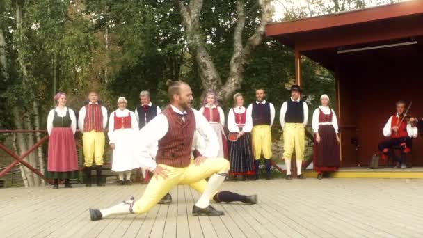 Tancerze Wykonują Niektóre Piękne Tradycyjne Szwedzkie Tańce Ludowe Lub Polska — Wideo stockowe