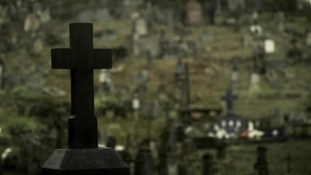 ヴィリニュス リトアニア 2018 Rasos の墓地 墓石の丘や谷にまたがる壮大な量と地域で最大かつ最古の墓地のプロットの — ストック動画