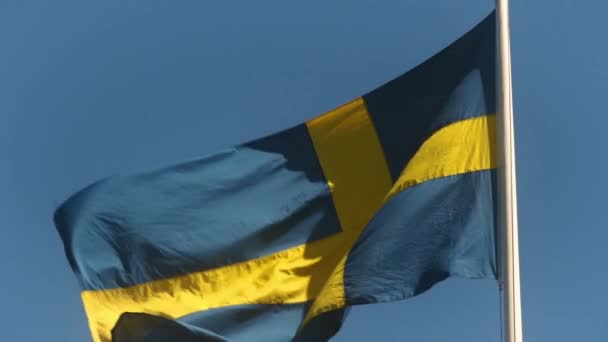 Vlajka Švédsko Vlály Větru — Stock video