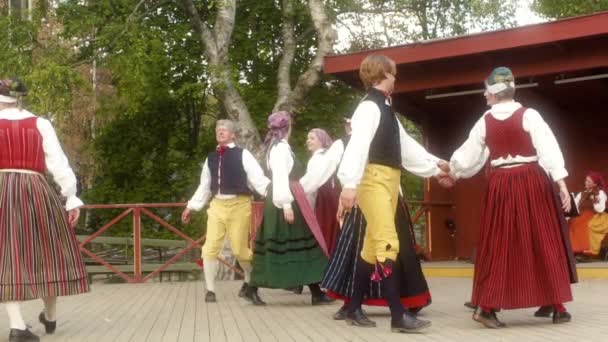 Diese Tänzer Führen Einige Schöne Traditionelle Schwedische Volkstänze Auf Oder — Stockvideo