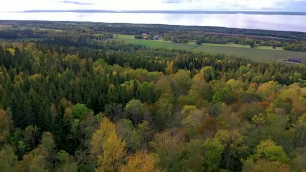 Tato Krásná 100 Let Stará Kamenolom Zemědělská Půda Nachází Blízkosti — Stock video