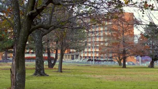 Будівля Була Макколум Холл Університеті Канзасу Студентському Гуртожитку — стокове відео