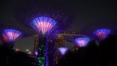 Singapur Körfezi yakınlarındaki Supertree Grove Marina Bay Sands Oteli 'nin yakınlarındaki bu muhteşem ağaç heykellerine ev sahipliği yapıyor. Her gece Supertrees güzel bir ışık gösterisiyle göz kamaştırıyor..