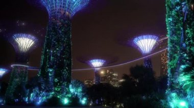 Singapur Körfezi yakınlarındaki Supertree Grove Marina Bay Sands Oteli 'nin yakınlarındaki bu muhteşem ağaç heykellerine ev sahipliği yapıyor. Her gece Supertrees güzel bir ışık gösterisiyle göz kamaştırıyor..