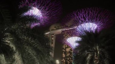 Singapur Körfezi yakınlarındaki Supertree Grove Marina Bay Sands Oteli 'nin yakınlarındaki bu muhteşem ağaç heykellerine ev sahipliği yapıyor. Her gece Supertrees güzel bir ışık gösterisiyle göz kamaştırıyor..