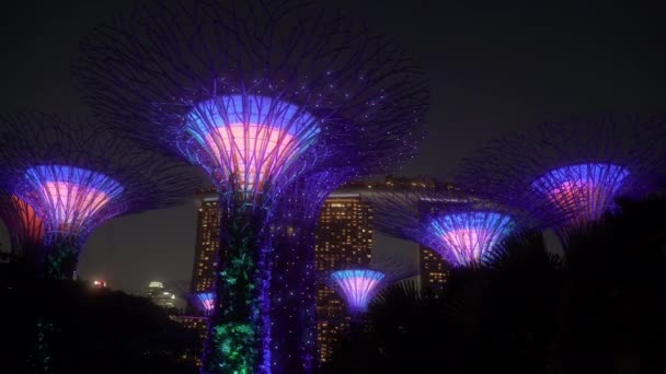 Supertree Grove Gardens Bay Singapore Värd För Dessa Fantastiska Trädskulpturer — Stockvideo