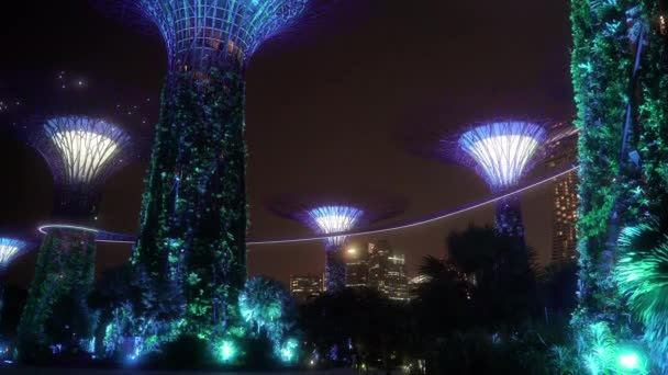 Supertree Grove Gardens Bay Singapore Herbergt Deze Geweldige Tree Sculptures — Stockvideo