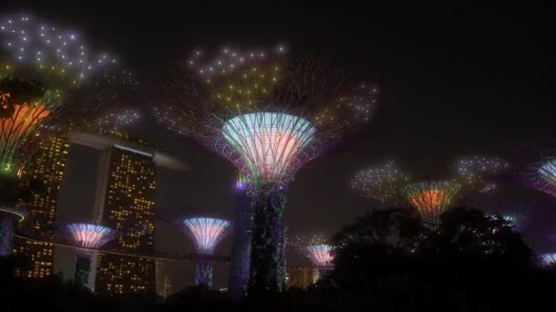 Singapur Körfezi Yakınlarındaki Supertree Grove Marina Bay Sands Oteli Nin — Stok video