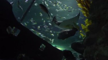 Bu görüntü Sony A7SII ile çekildi.