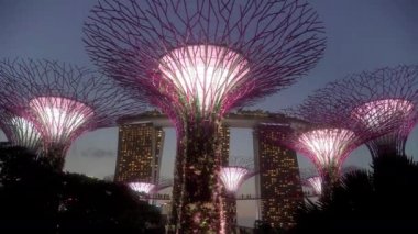 Singapur Körfezi yakınlarındaki Supertree Grove Marina Bay Sands Oteli 'nin yakınlarındaki bu muhteşem ağaç heykellerine ev sahipliği yapıyor. Her gece Supertrees güzel bir ışık gösterisiyle göz kamaştırıyor..