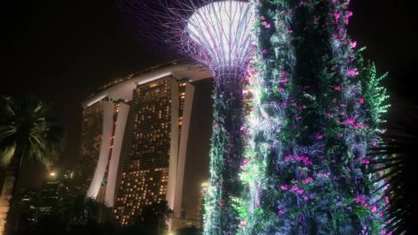 Singapur Körfezi Yakınlarındaki Supertree Grove Marina Bay Sands Oteli Nin — Stok video