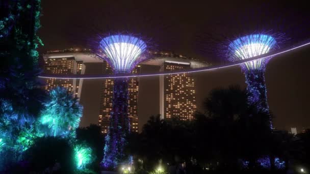 Supertree Grove Nos Jardins Junto Baía Singapura Abriga Essas Incríveis — Vídeo de Stock