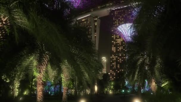 Supertree Grove Gardens Bay Singapore Värd För Dessa Fantastiska Trädskulpturer — Stockvideo
