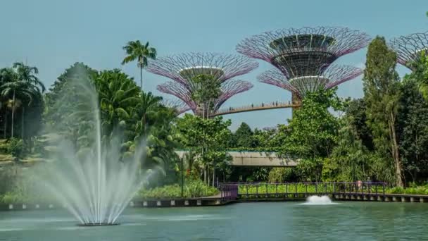 Супердеревовидному Гаю Садах Біля Бей Сінгапуру Розташовані Дивовижні Скульптури Дерев — стокове відео