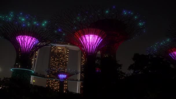 Supertree Grove Gardens Bay Singapore Otthont Ezeknek Csodálatos Szobroknak Marina — Stock videók