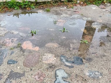 Yağmurlu bir günde doğa elementlerini ve kaldırım taşlarını yansıtan sakin bir su birikintisi şehir ortamında sakin bir atmosfer yaratıyor..