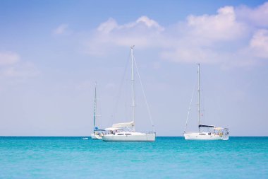 Yelken. Gemi denizde beyaz Yelkenli Yatlar. Lüks tekneler. Yelkenli tekne rakip.