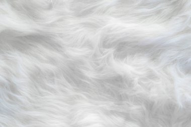 White wool silk feathers background and textured.