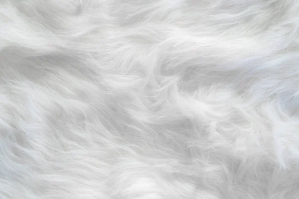 White wool silk feathers background and textured. — Fotografia de Stock