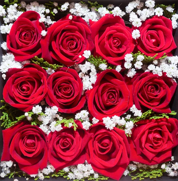 Floral design. Beautiful flower for you. red rose bouquet in box