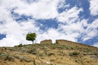 Ağaç dağlar, Doğa Kuzey Kafkasya, güzel bir manzara