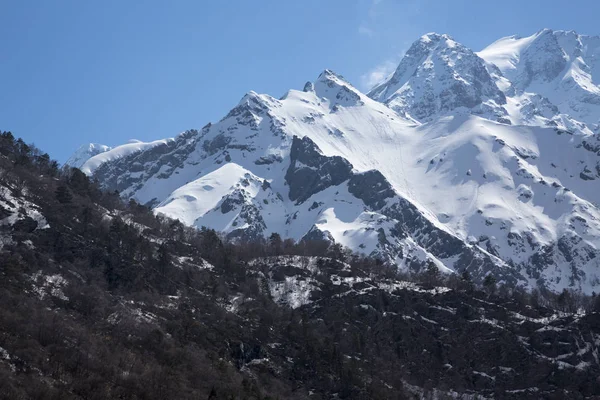 Bergslandskap Vacker Utsikt Över Den Pittoreska Gorge Ett Panorama Med — Stockfoto