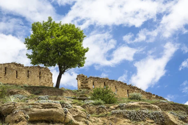 Ağaç dağlar, Doğa Kuzey Kafkasya, güzel bir manzara