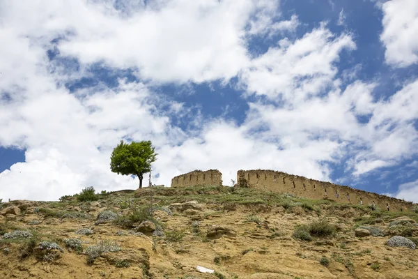 Ağaç dağlar, Doğa Kuzey Kafkasya, güzel bir manzara