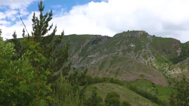 Bergslandskap Träd Trä Pittoreska Gorge Arten Norra Kaukasus — Stockvideo