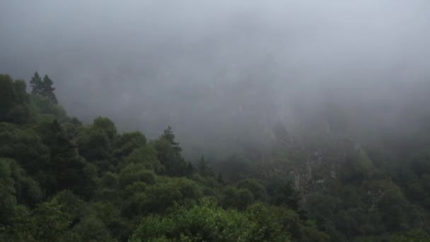 Hegyi Folyó Festői Gorge Gyönyörű Kilátással Magas Sziklák Vad Természet — Stock videók