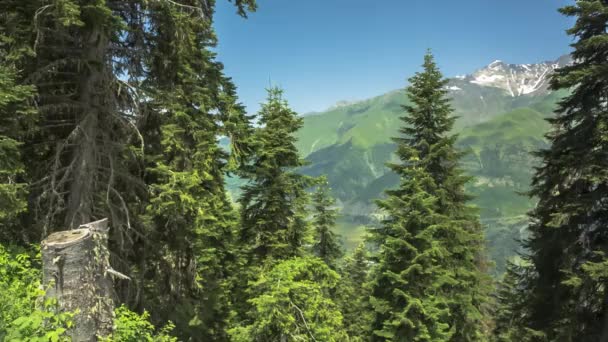 Bergslandskap Pittoreska Panorama Med Höga Berg Arten Kaukasus — Stockvideo