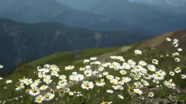 Paesaggio Montano Panorama Pittoresco Con Alte Montagne Natura Del Caucaso — Video Stock