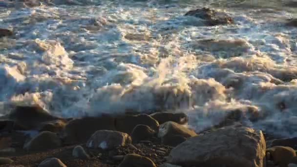 野生のビーチ ビーチの残り 美しい自然の波の海の減少 — ストック動画